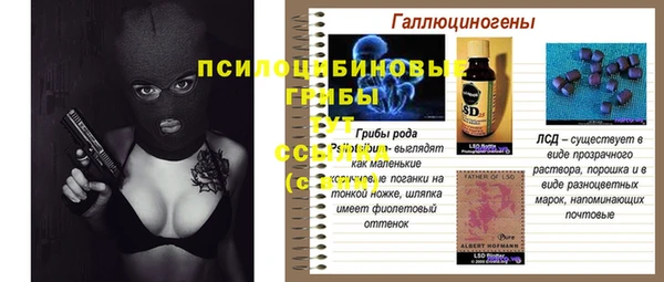 герыч Мегион