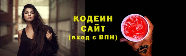 герыч Мегион