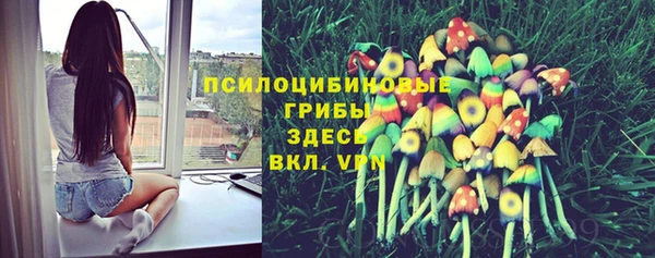 стафф Медвежьегорск