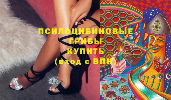 герыч Мегион