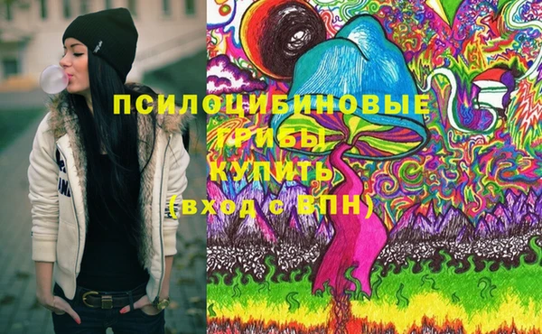 стафф Медвежьегорск