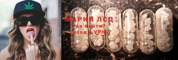 стафф Медвежьегорск